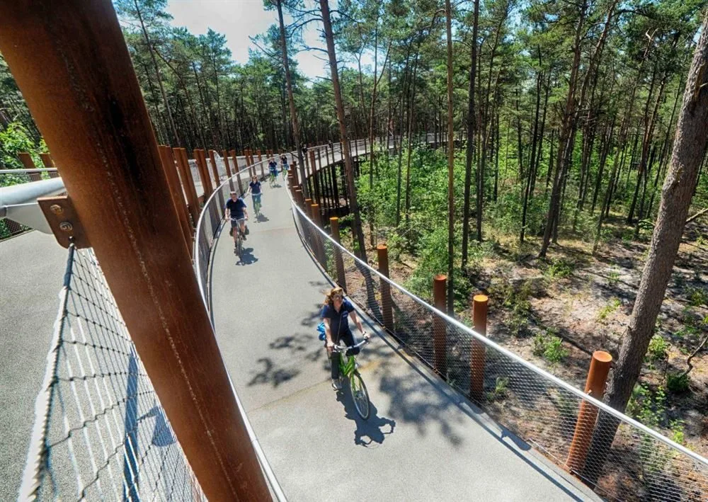 Pista ciclabile sopraelevata su fondazioni a pali elicoidali tra le chiome a Bosland, Belgio